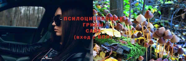 mix Армянск