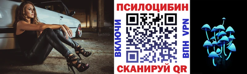 Псилоцибиновые грибы прущие грибы  сколько стоит  Мирный 